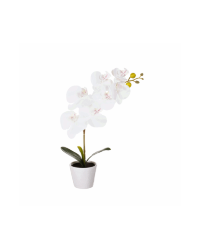 MACETITA ORQUIDEA *BLANCO
