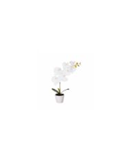 MACETITA ORQUIDEA *BLANCO