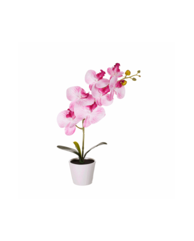 MACETITA ORQUIDEA *FUXIA