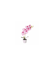 MACETITA ORQUIDEA *BLANCO