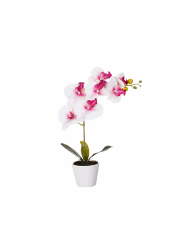 MACETITA ORQUIDEA *ROSA