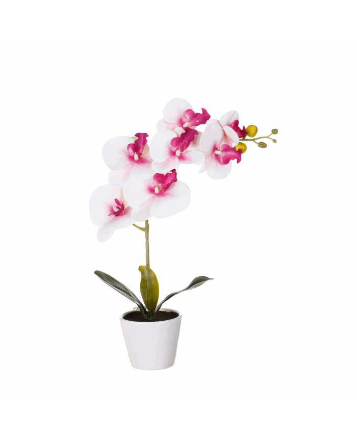 MACETITA ORQUIDEA *ROSA