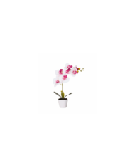 MACETITA ORQUIDEA *FUXIA