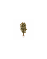 ARBOL EUCALIPTO WILLOW 80CM *V.CLARO