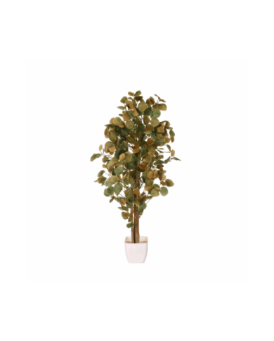 ARBOL EUCALPTO POPULUS 80CM *V.OSCURO