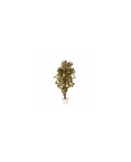 ARBOL EUCALPTO POPULUS 80CM *V.OSCURO