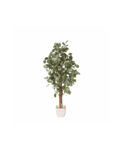 ARBOL EUCALPTO POPULUS 80CM *V.CLARO