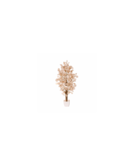 ARBOL EUCALPTO POPULUS 80CM *CREMA