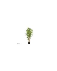 ARBOL BAMBU T/N X 5- 150 CM