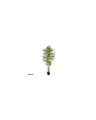 ARBOL BAMBU T/N X 5- 150 CM