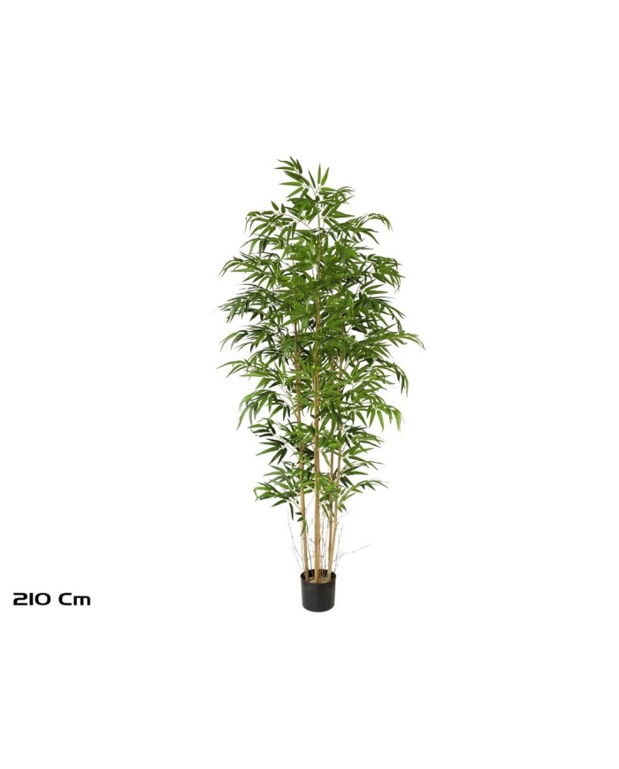 ARBOL BAMBU T/N X 7- 210 CM