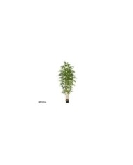 ARBOL BAMBU T/N X 5- 180 CM
