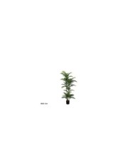 PLANTA PALMERA PHOENIX -183 CM