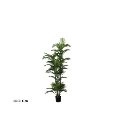 PLANTA PALMERA PHOENIX -183 CM