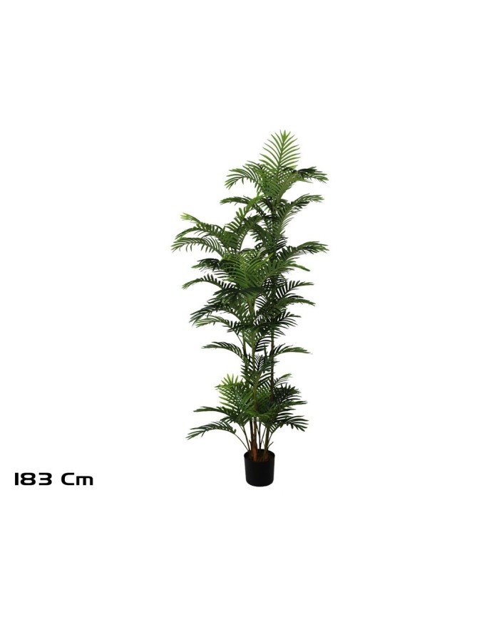 PLANTA PALMERA PHOENIX -183 CM