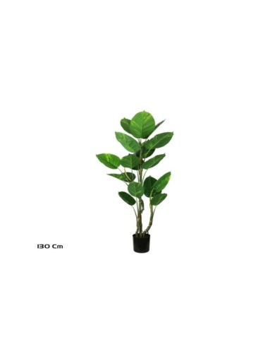 PLANTA POTUS EXOTIC X 17 130 CM