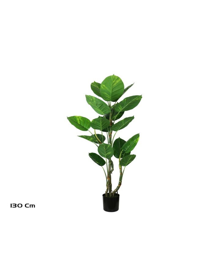 PLANTA POTUS EXOTIC X 17 130 CM
