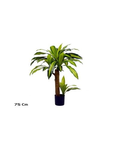 ARBOL DRACENA 75 CM