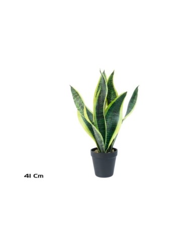 MACETA SENSEVERIA X 7 C/PIEDRAS 41 CM