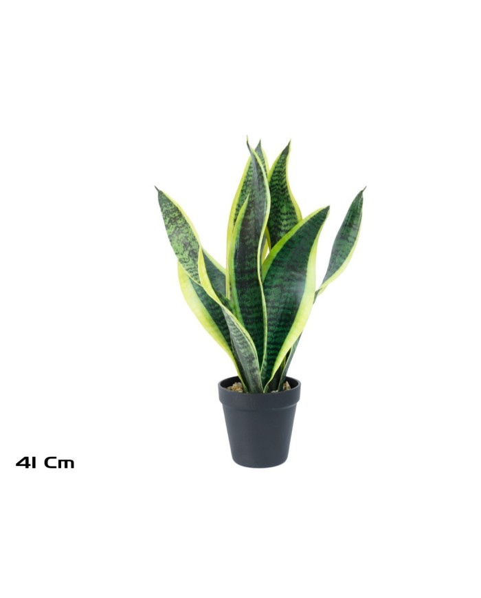 MACETA SENSEVERIA X 7 C/PIEDRAS 41 CM