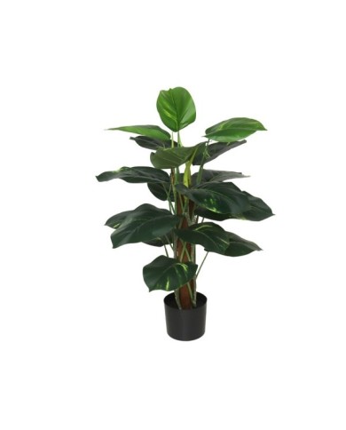 PLANTA POTUS X 18 T/ COCO 75 CM