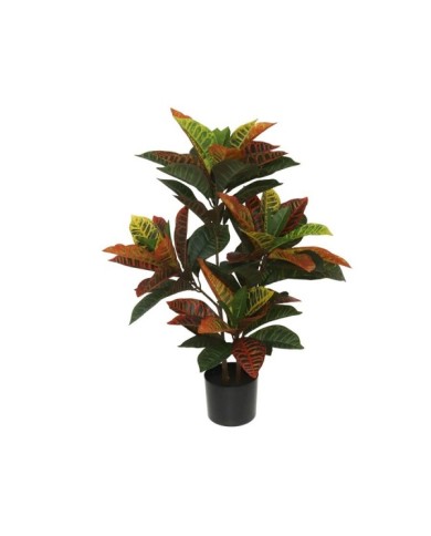 MACETA CROTON - 77 CM
