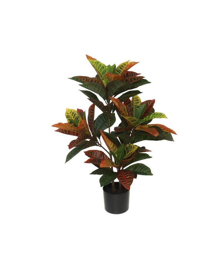 MACETA CROTON - 77 CM