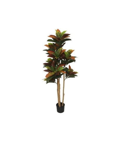 PLANTA CROTON T/NATURAL - 150 CM