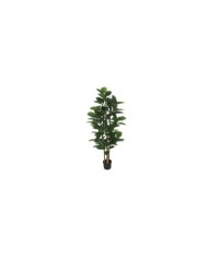 ARBOL FICUS LYRATA T/NATURAL - 120 CM