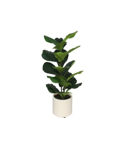 MACETA BLANCA LUX FICUS LYRATA - 72 CM