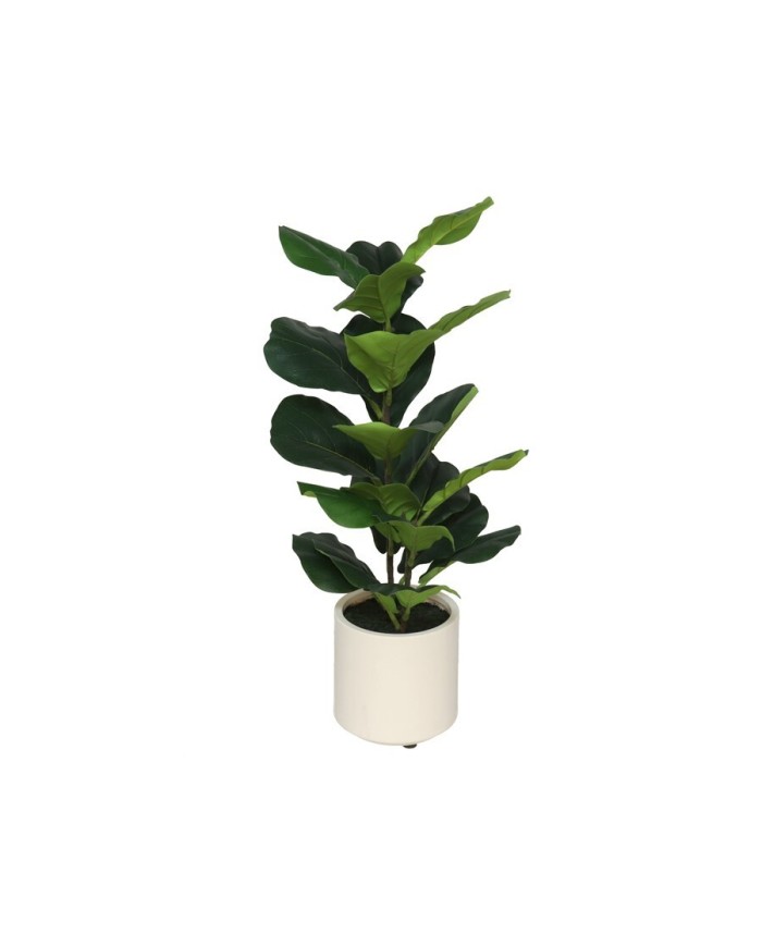 MACETA BLANCA LUX FICUS LYRATA - 72 CM