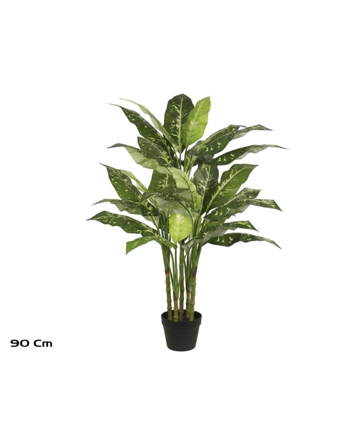 PLANTA DIEFFENBACHIA X 5 - 110 CM
