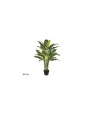 ARBOL DRACENA - 90 CM