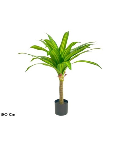 ARBOL DRACENA - 90 CM