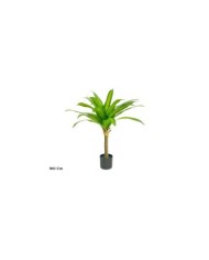 ARBOL DRACENA - 90 CM