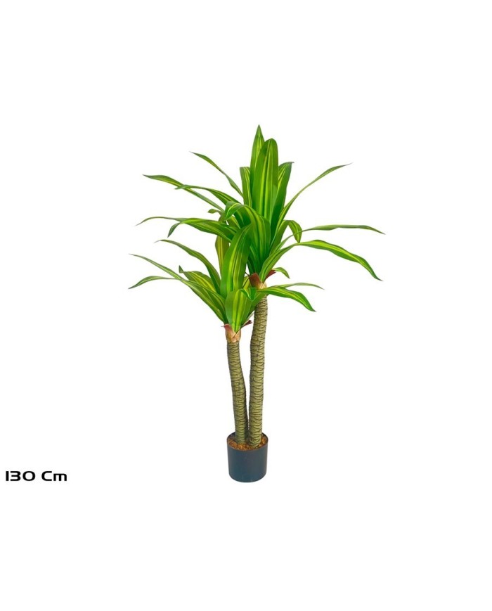 ARBOL DRACENA X 2- 130 CM