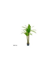 ARBOL DRACENA - 90 CM