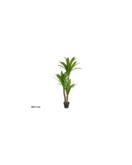 ARBOL DRACENA X 2- 130 CM