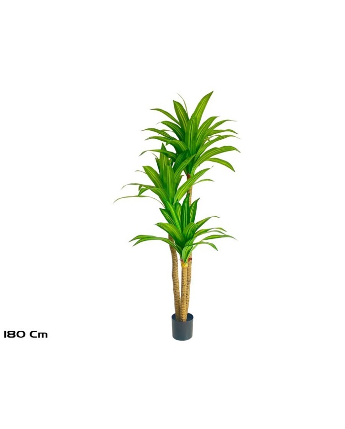 ARBOL DRACENA X 3- 180 CM