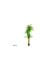 ARBOL DRACENA X 3 - 150 CM