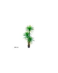 PLANTA YUCCA X 2 - 140 CM