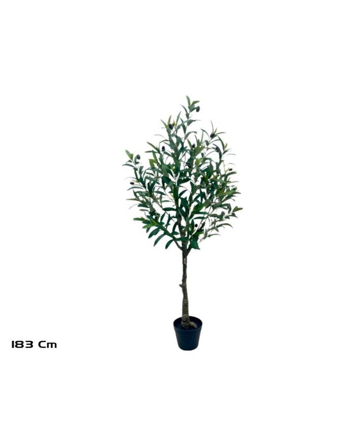 ARBOL OLIVO - 183 CM