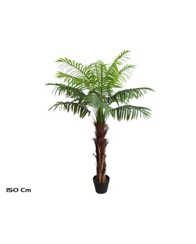 PLANTA PALMERA T/COCO X 15 - 150 CM
