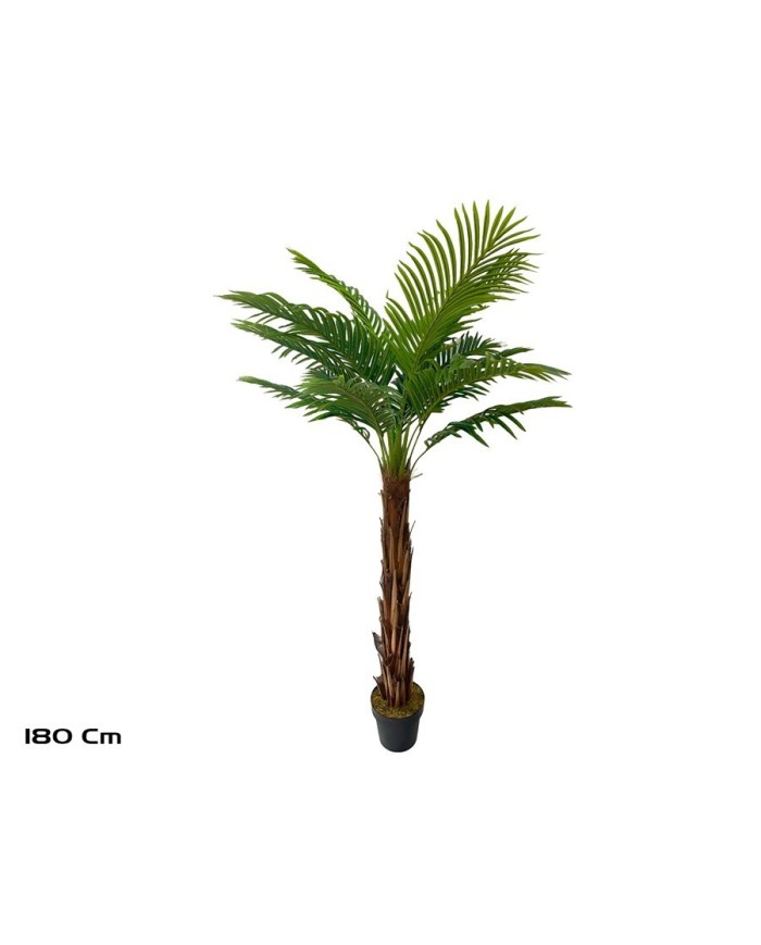 PLANTA PALMERA T/COCO X 18 - 180 CM