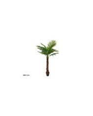 PLANTA PALMERA T/COCO X 18 - 180 CM