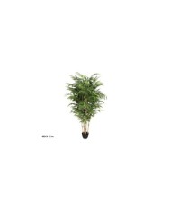 PLANTA PLATANERO 15 LVS R/T - 190 CM