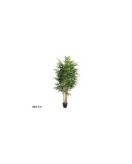 ARBOL BAMBU T/N BIG LVS X 6 - 180 CM