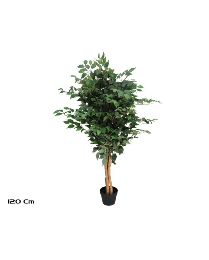 ARBOL FICUS NATUR T/N -120 CM