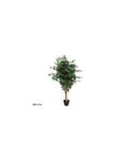 ARBOL BAMBU T/N BIG LVS X 6 - 180 CM