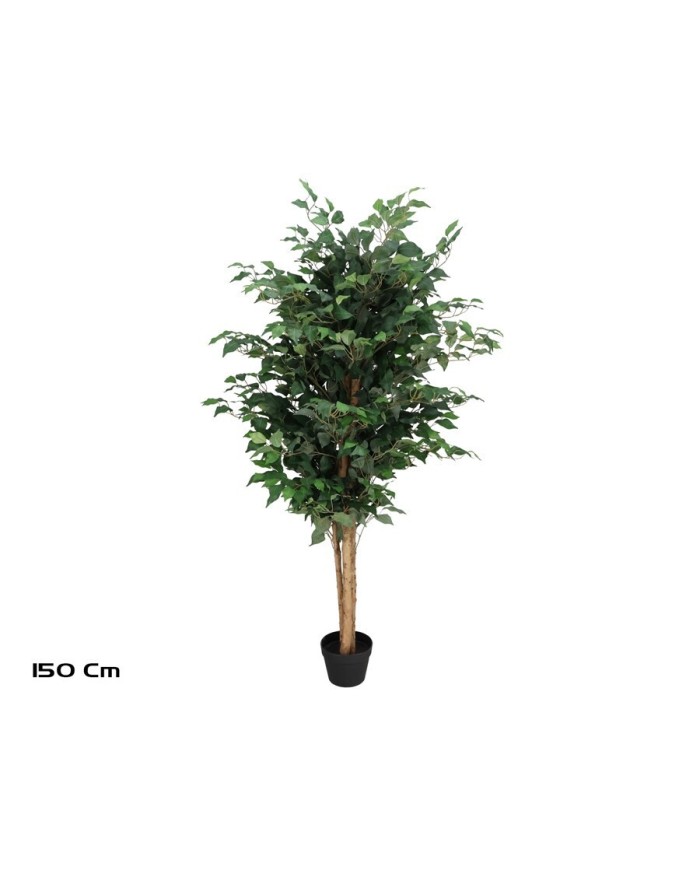 ARBOL FICUS NATUR T/N 150 CM
